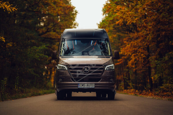 Brązowy Sprinter 2 Brązowy Sprinter 2